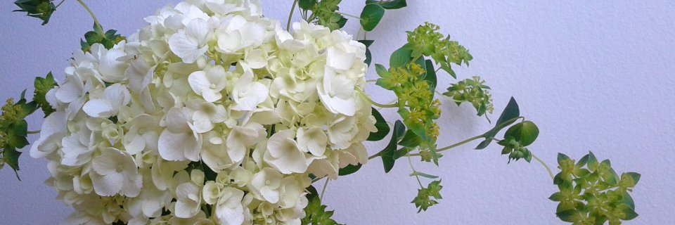 3_3_c_c's profile banner image