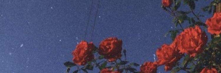 ⚠ E L L Y ⚠ ft:ไม่ตอบ=หลับ banner
