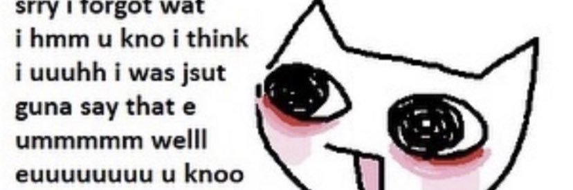 Cat 合🍉 SAW SKZ banner