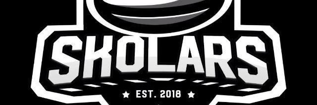 Skolarsrl banner