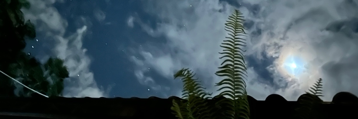 manurangel's profile banner image