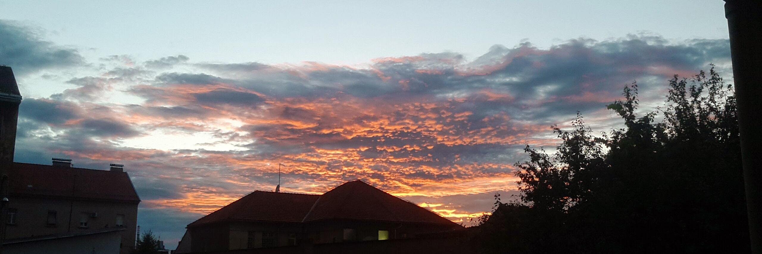 Dobrica Pavlinušić banner