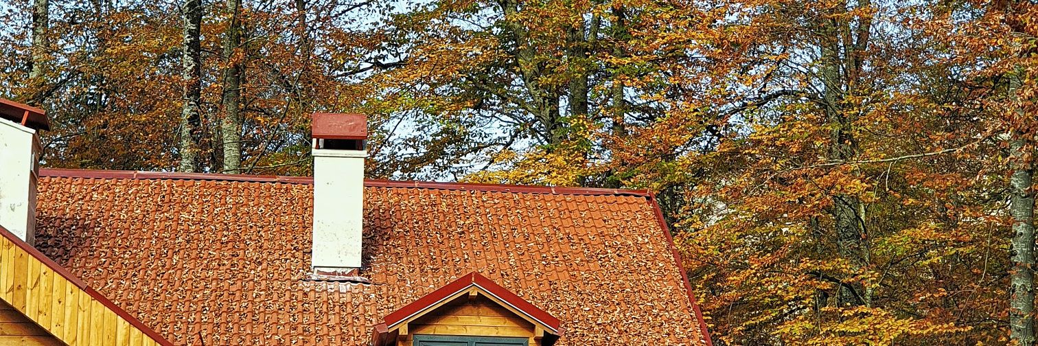 Ismail Kağan Derebaşı banner