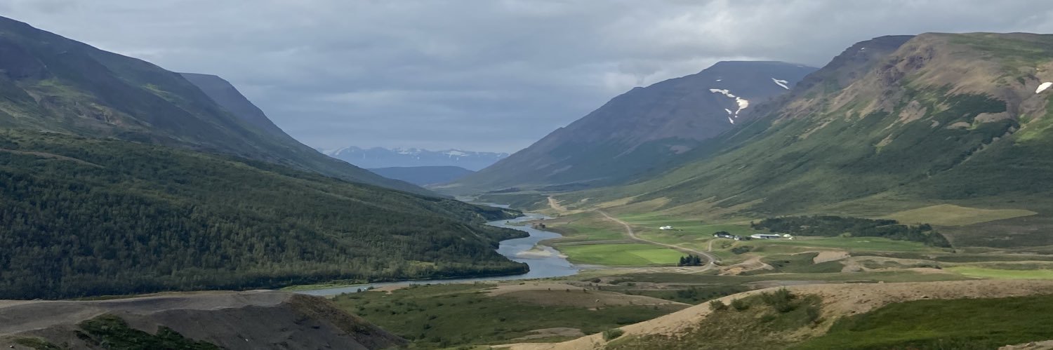 Sigríður Árdal banner