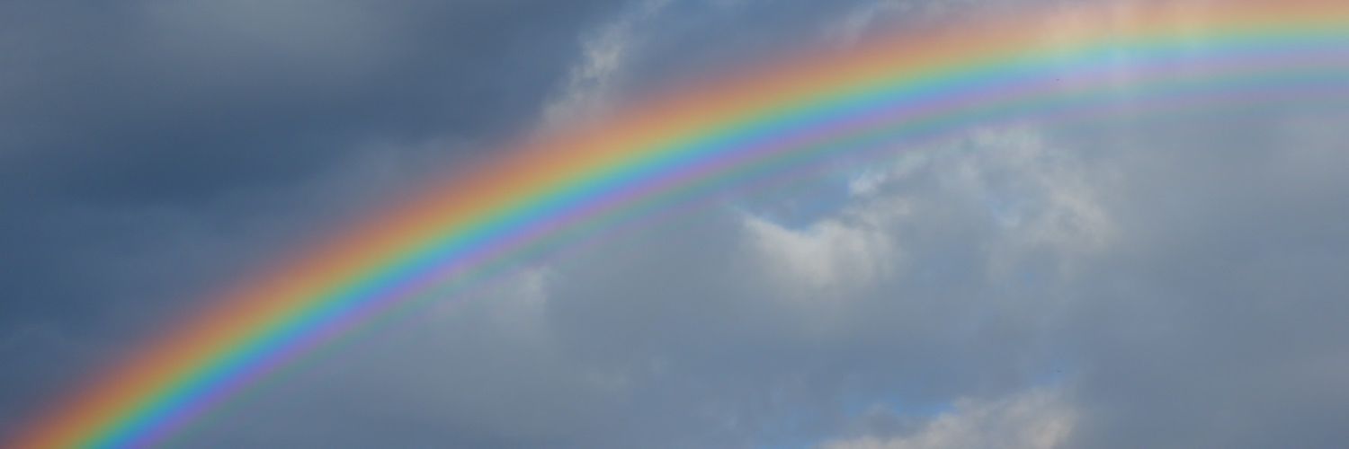 ヒロコ banner