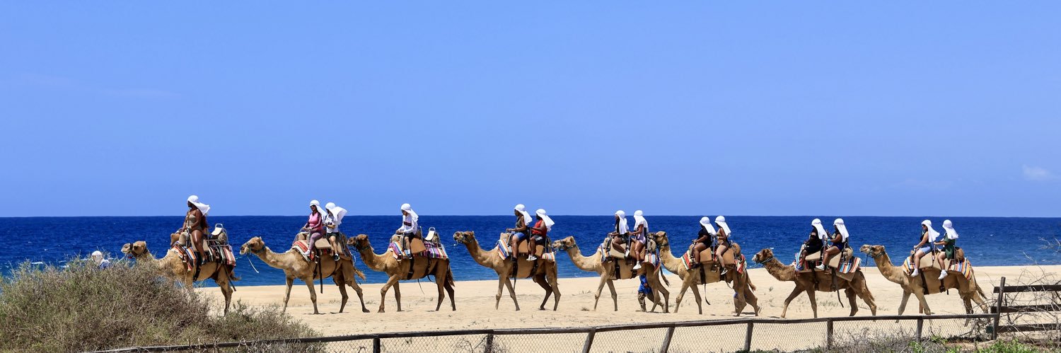 Abdi_V's profile banner image