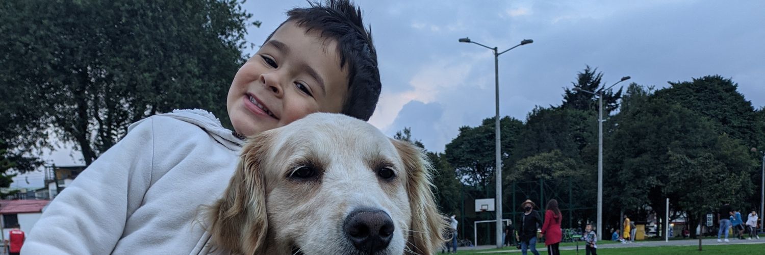 luis_bst's profile banner image