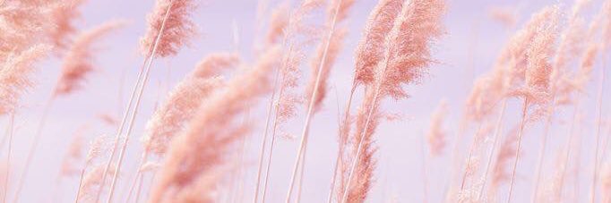 •ᴥ• banner