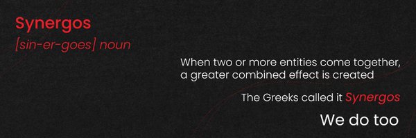 Synergos_IDM Profile Banner