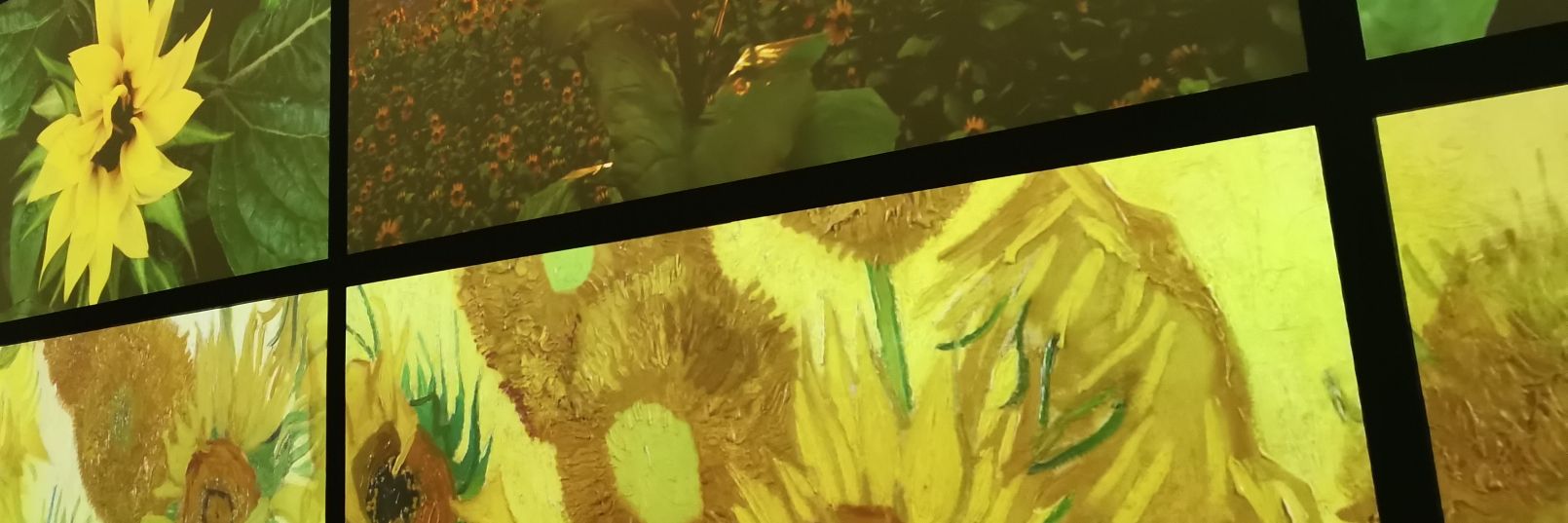 Doña chismes banner