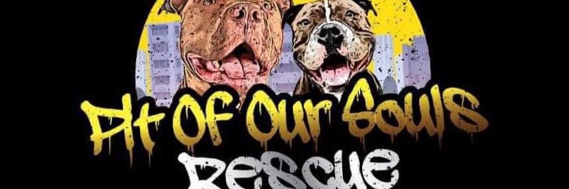 Pit of Our Souls Rescue banner