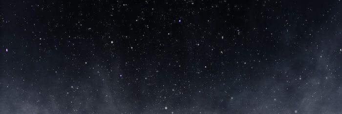 w banner