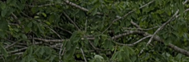 xppppph's profile banner image