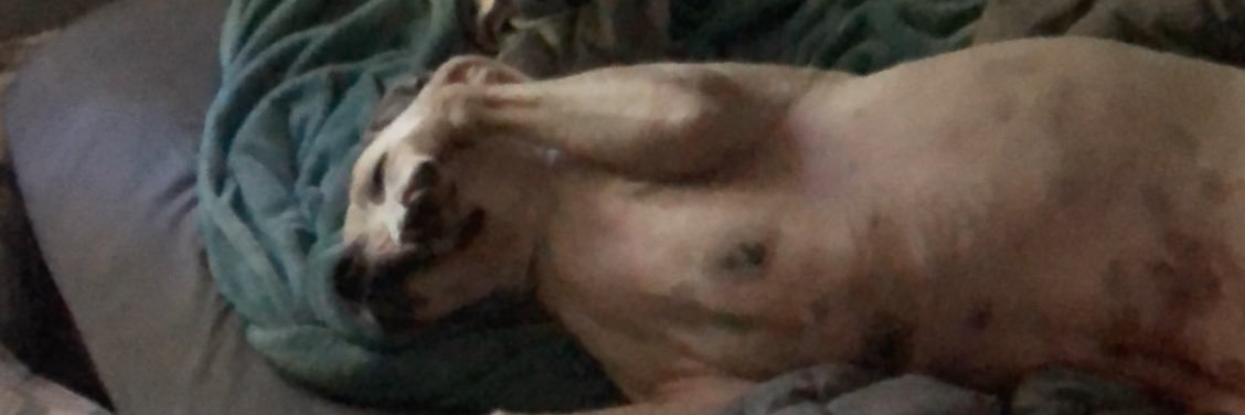 Dillon Gilbert banner