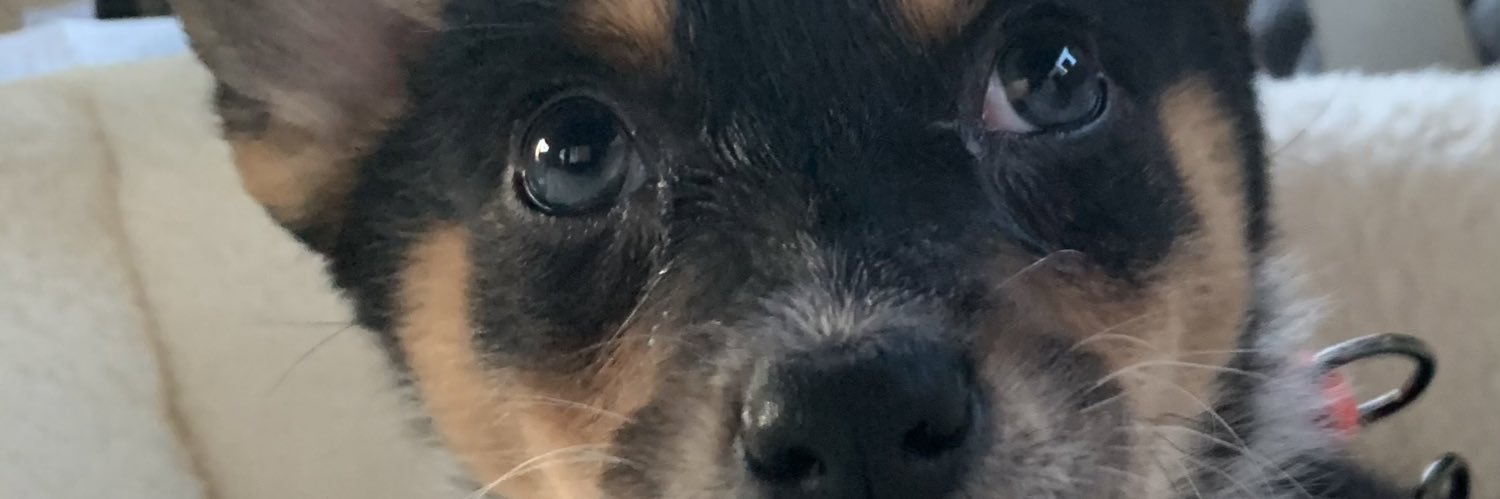 petes23_'s profile banner image