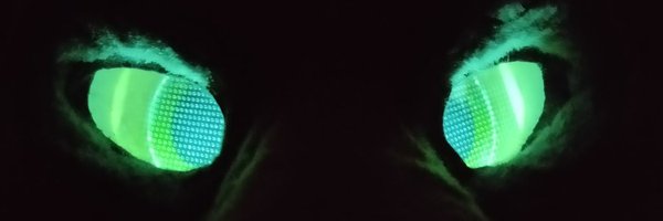 RenfirFolf Profile Banner