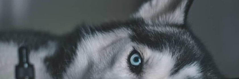Andres_BalOco's profile banner image