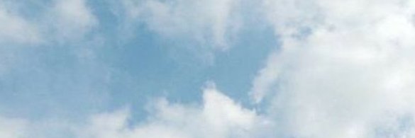 tofu ●⟐○ banner