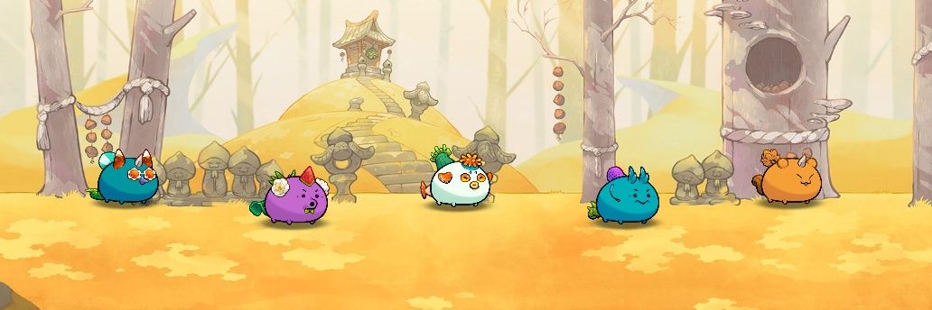 wasel.ron👾 banner