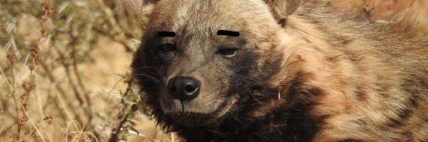 itsdagon Profile Banner