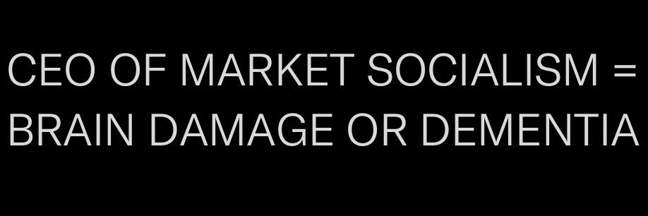 ce🔆 of market socialism banner