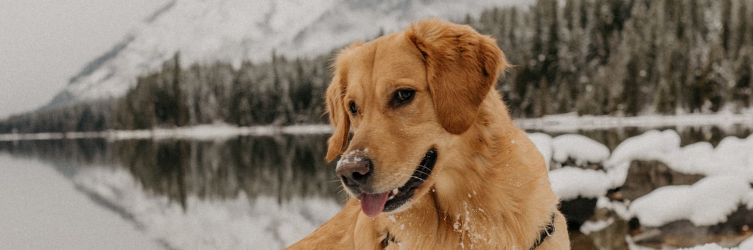 Mattpetey95's profile banner image