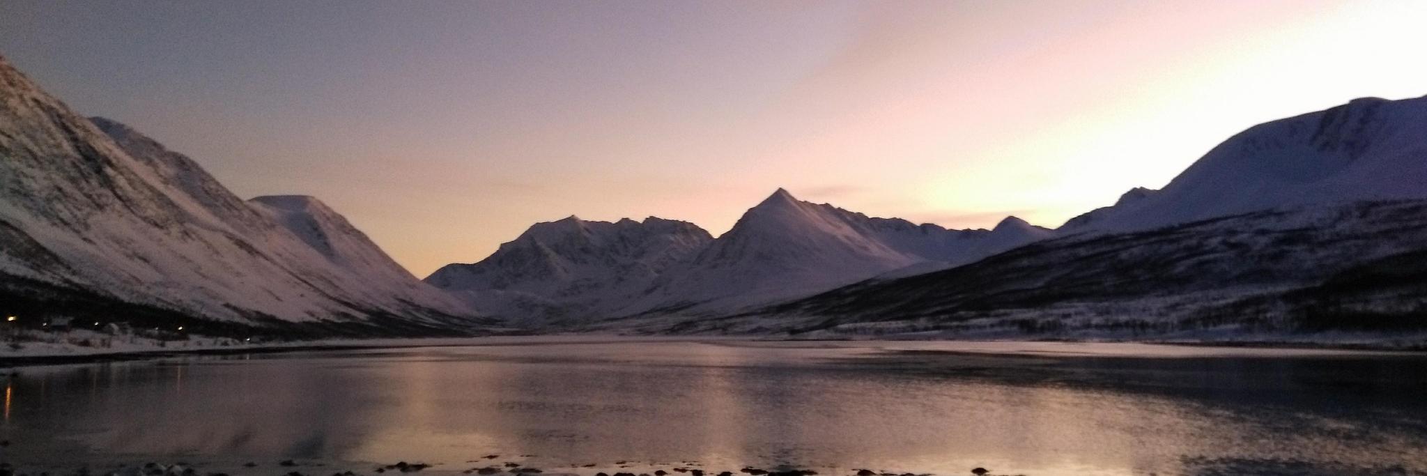 Matthew Kessler banner