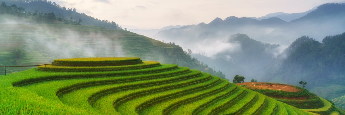 CropLife International banner