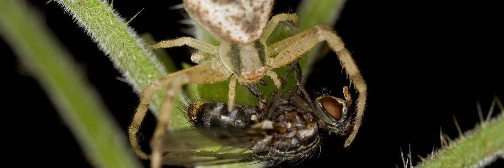 MacroPhotoFun's profile banner image