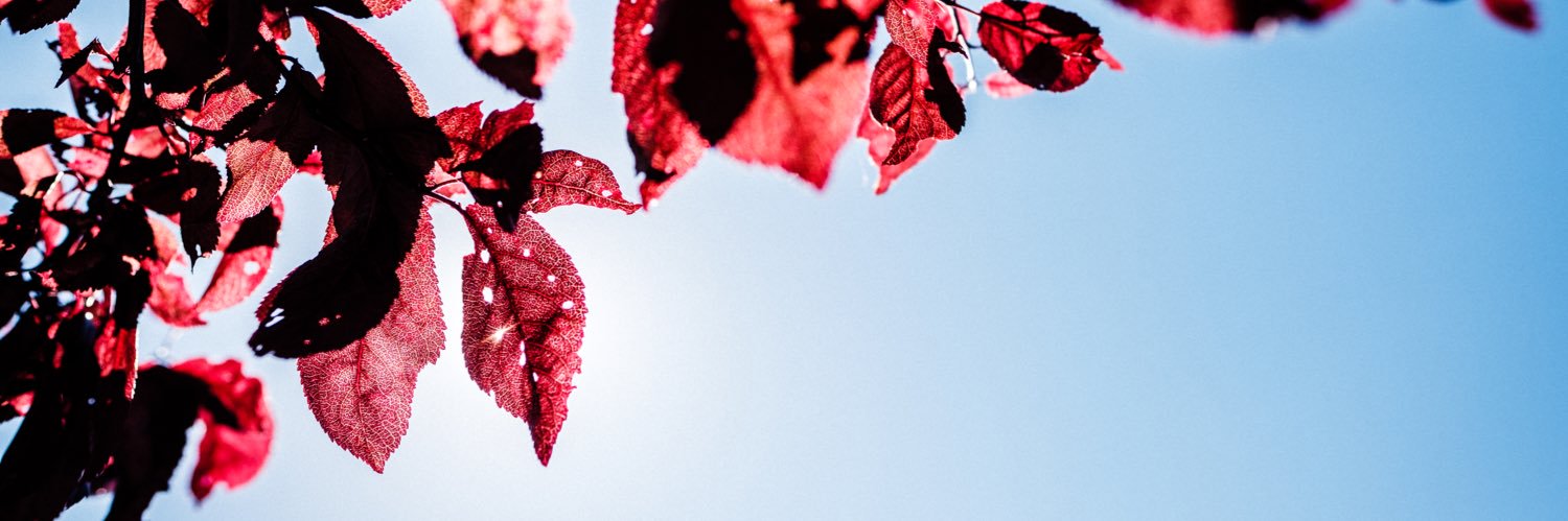 _mynameislee's profile banner image