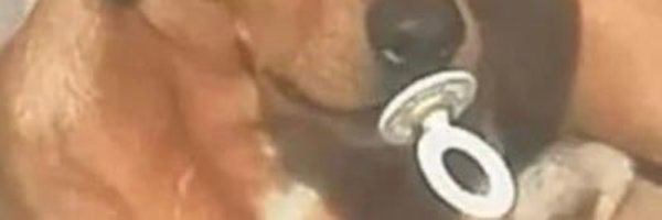ratapologist1 Profile Banner