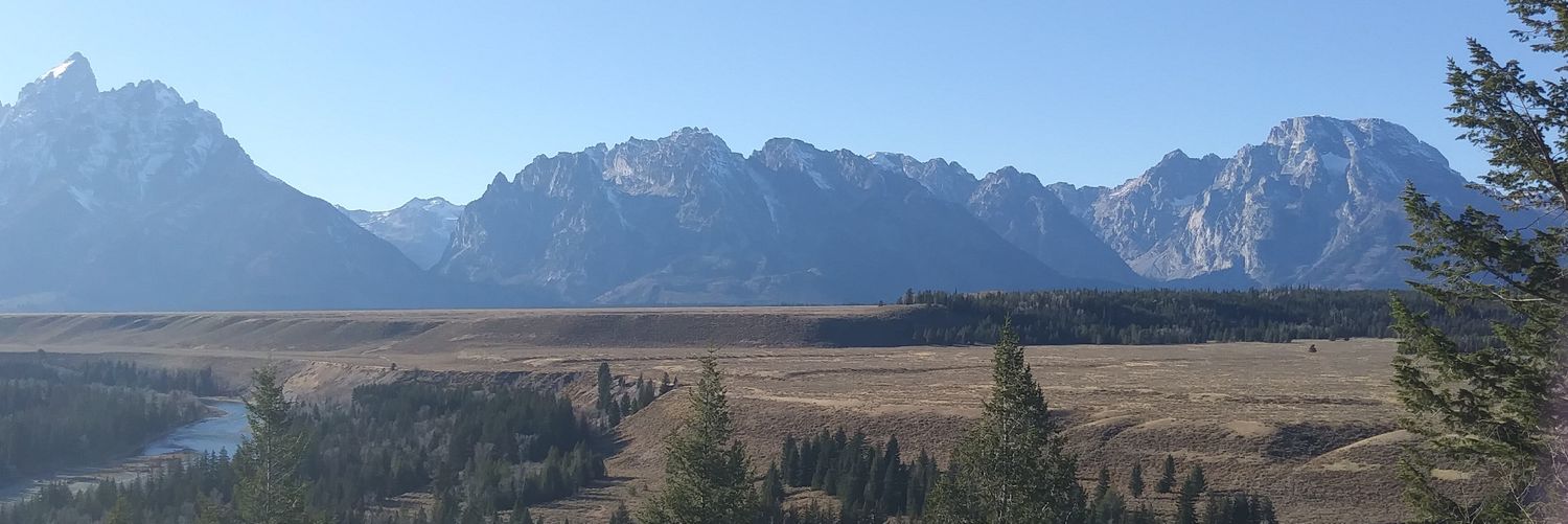 Christy Franklin banner