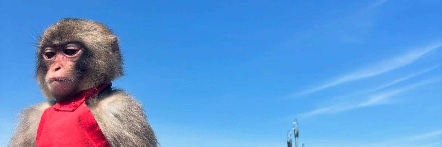 Kontritum 🤠 banner