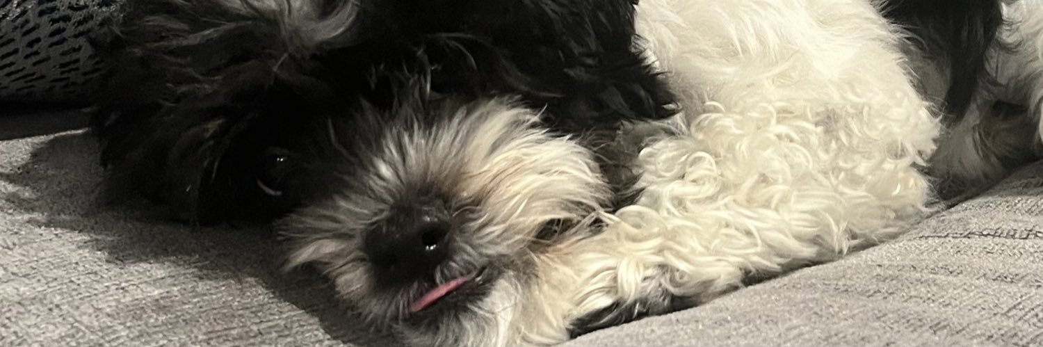 kegmeane's profile banner image