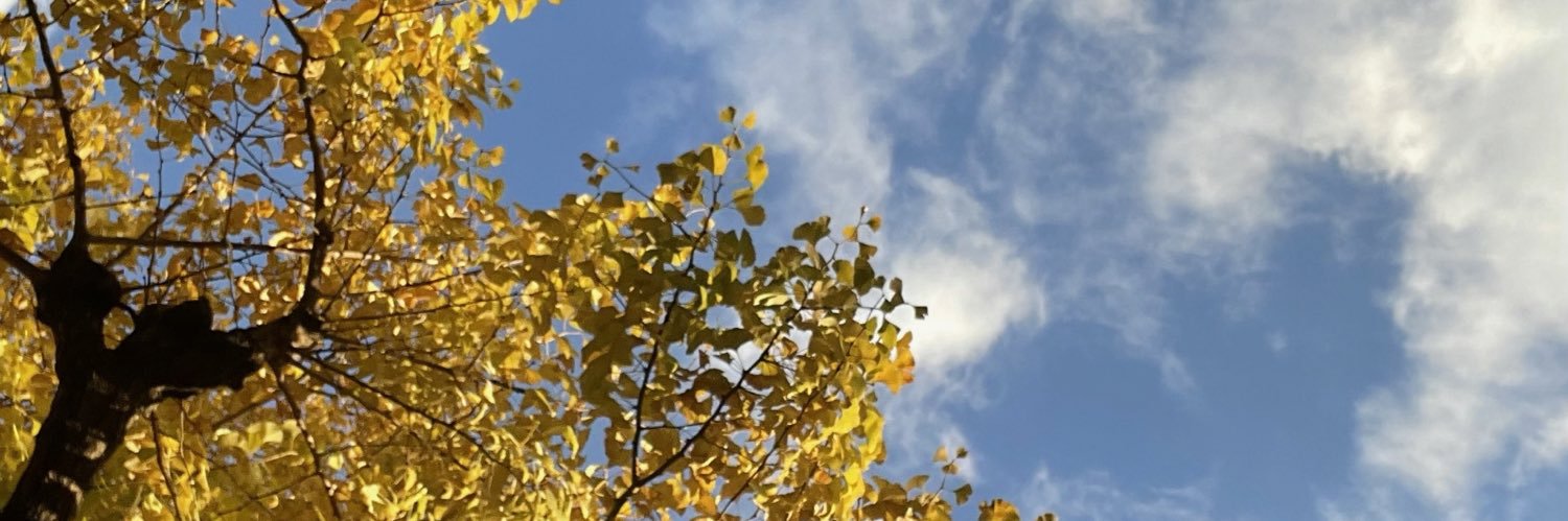 pugya_aaaaa's profile banner image
