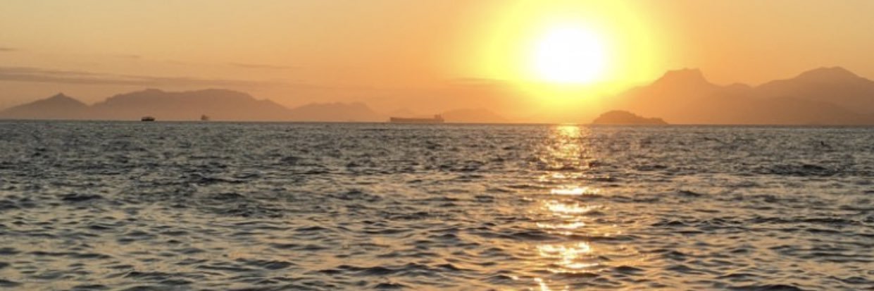 joyce_uva's profile banner image