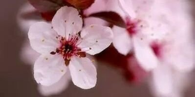 Ale_magui's profile banner image