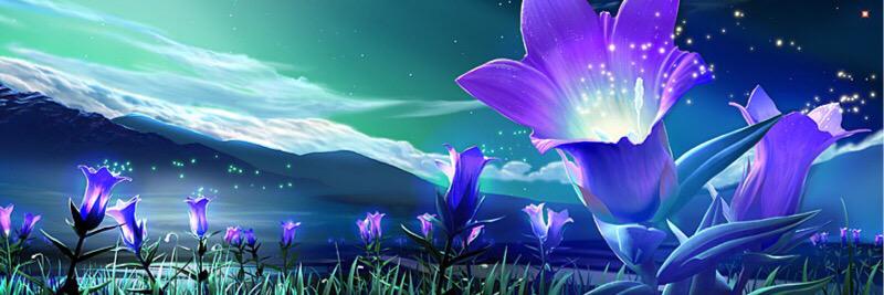 Hanan_2NR's profile banner image
