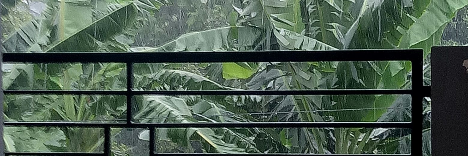 tungstenmoor's profile banner image