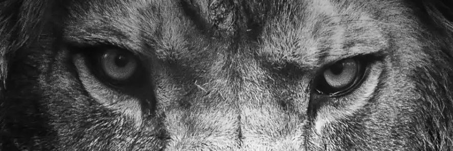 ShadToFit's profile banner image