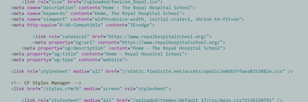 RHS_CompSci Profile Banner