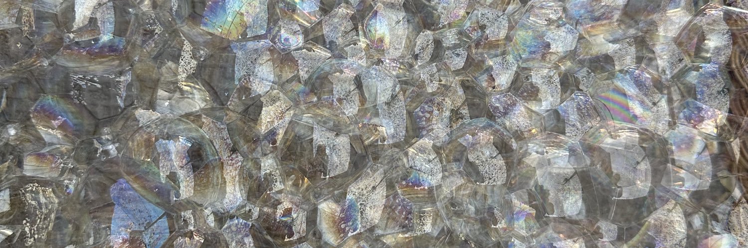 Melissa Straub Hogan, MD, FASCP 👩🏻‍⚕️🔬 banner