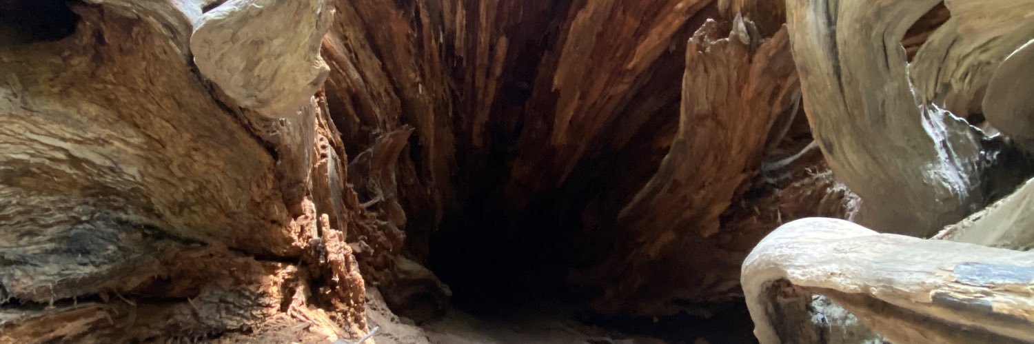 Trench_Islander banner