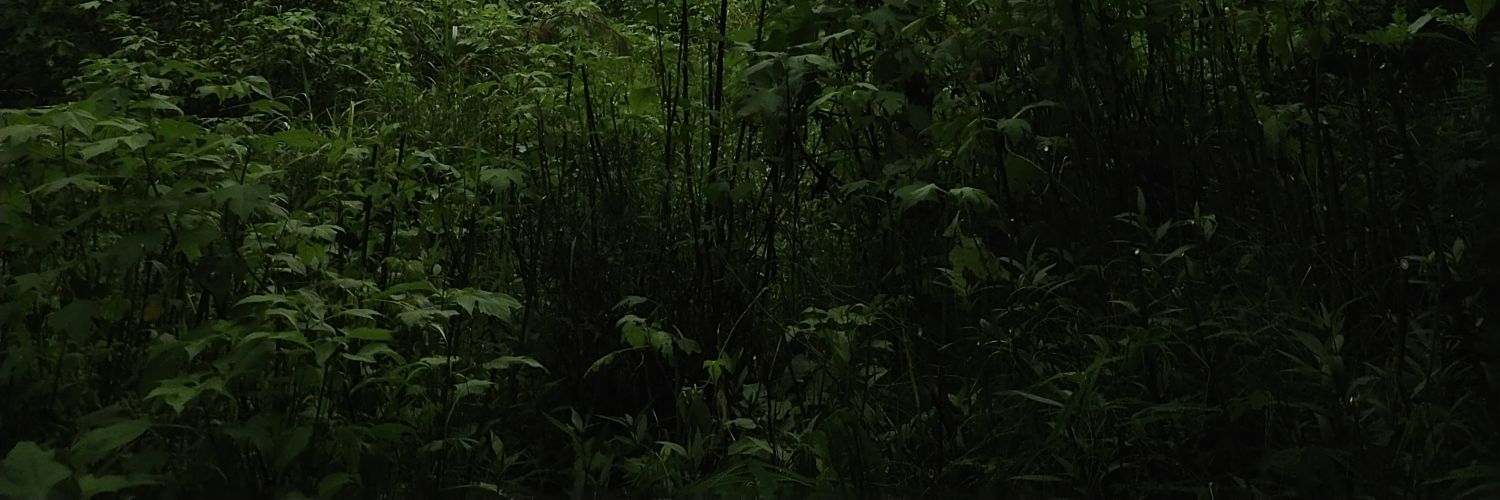 nyfth_'s profile banner image