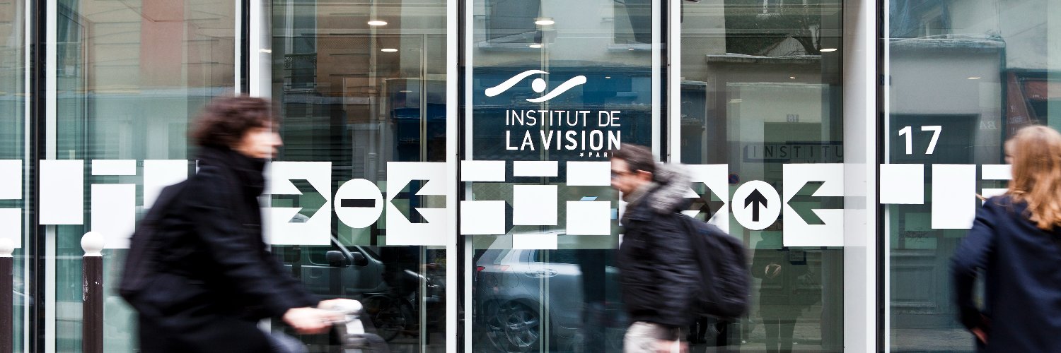 Institut de la Vision banner