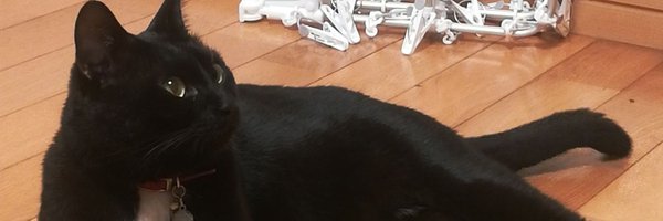 nekonekoloryT Profile Banner