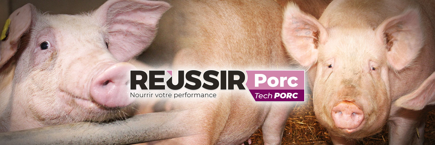 Réussir Porc banner