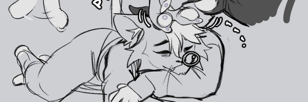 Theokcat banner