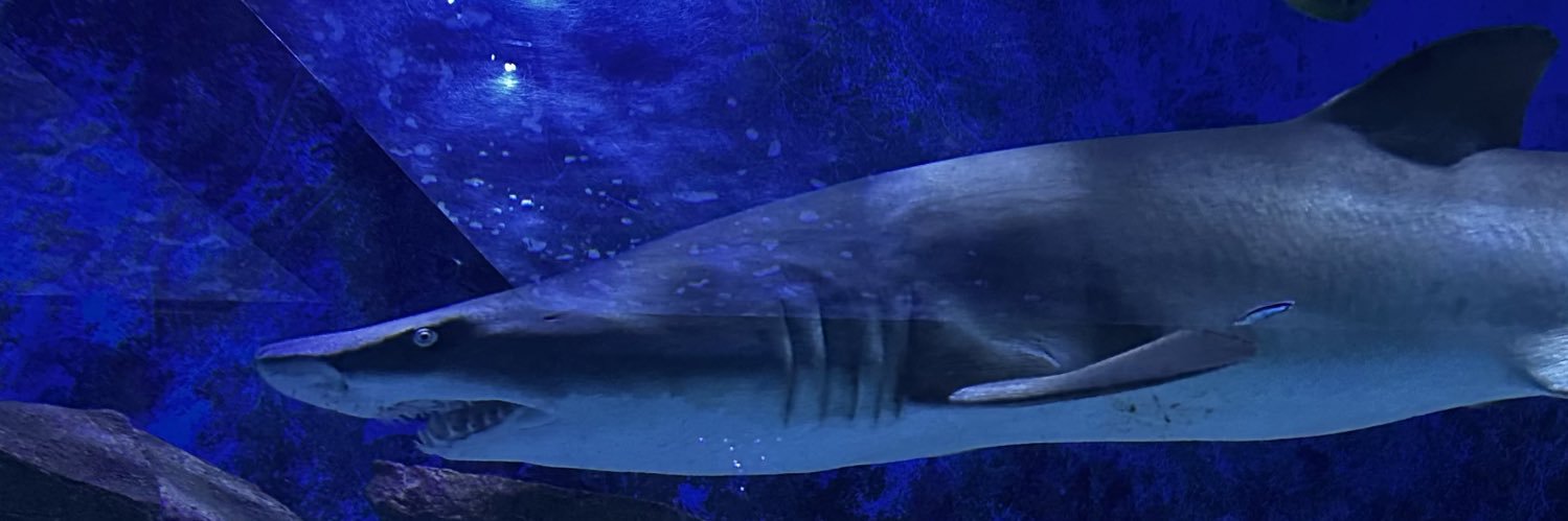 Maexpansion banner