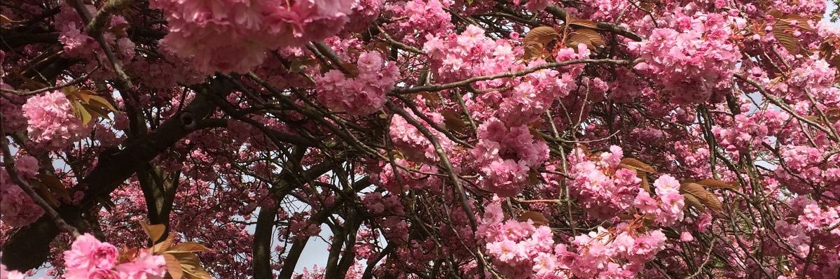 __eems_'s profile banner image